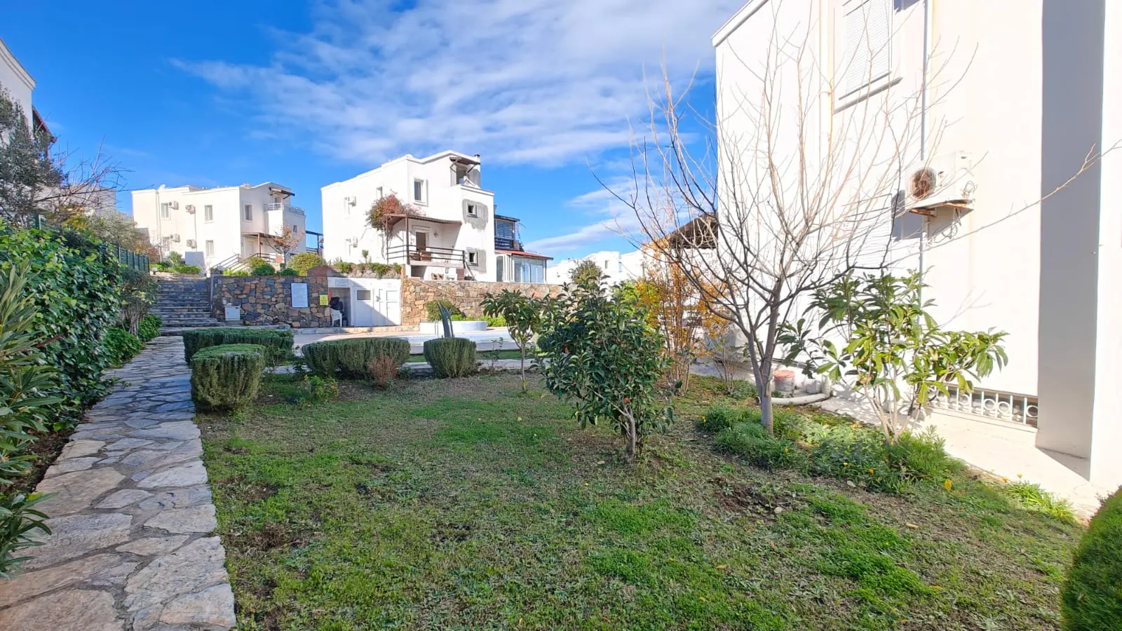 Mature garden